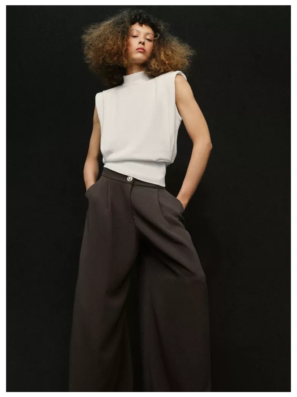 Zara Gold Button Palazzo Pants in Dark Brown